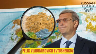 Felix Vladimirovich Evtushenkov : Russian Oligarch