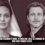 Brad Pitt Use of Russian Oligarch Email Sparks $250 Million Legal Battle with Angelina Jolie Over French Estate